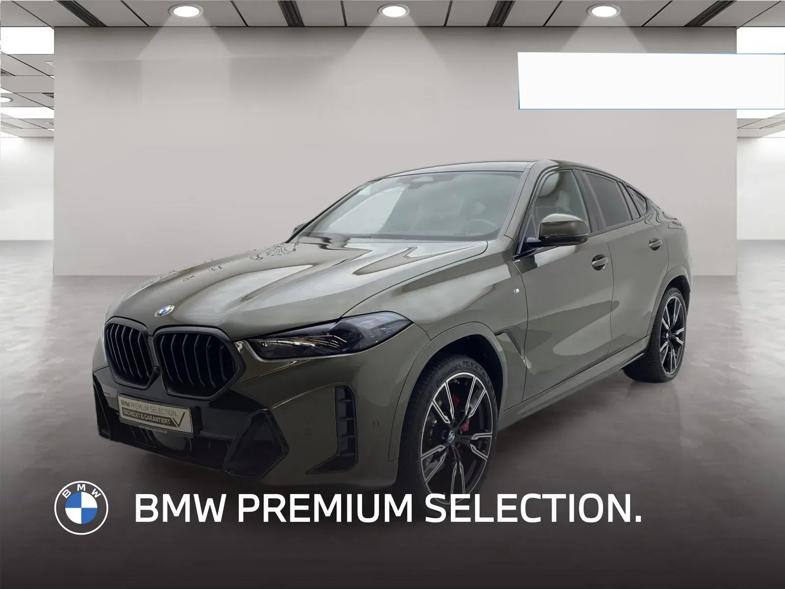BMW X6 xDrive30d M Sport Standheizung AHK Harman/K 2025